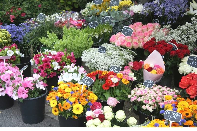 Take a stroll through your local flower market or walk through the front door of your favourite florist.